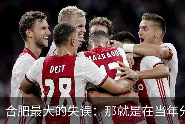 合肥最大的失误：那就是在当年分巢湖的时候，竟然没有拿下无为县