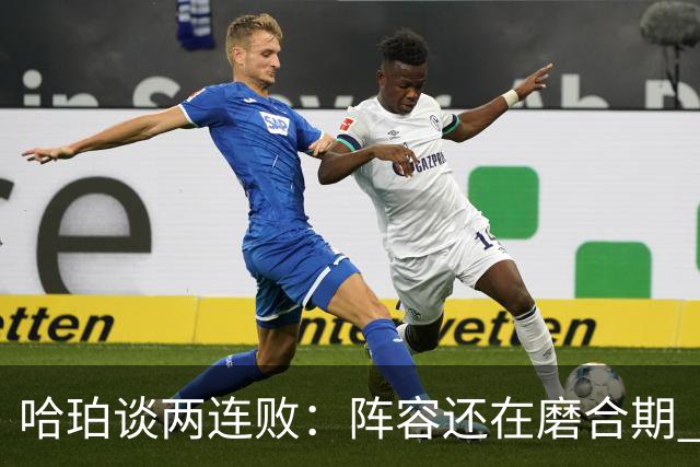 哈珀谈两连败：阵容还在磨合期 现在就开始焦虑为时过早
