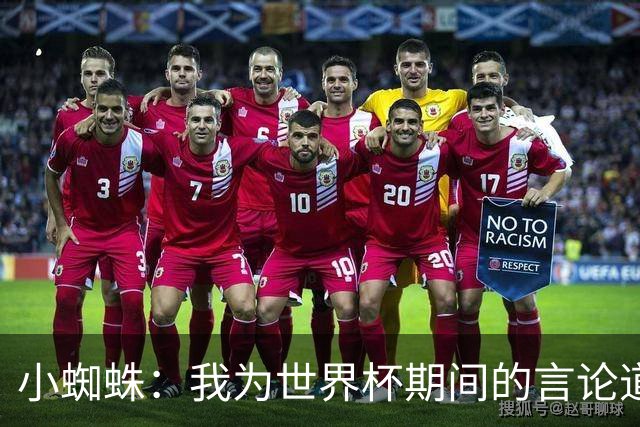 小蜘蛛：我为世界杯期间的言论道歉，换作我是球迷也会生气