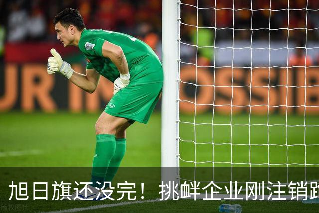 旭日旗还没完！挑衅企业刚注销跑路，又揪出5个跟风“一起披”的