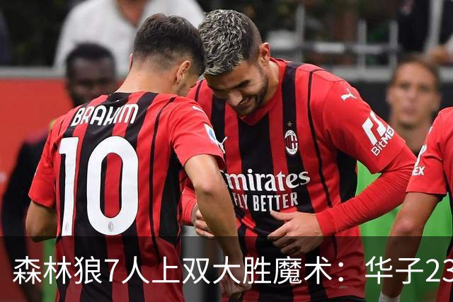 森林狼7人上双大胜魔术：华子23中5低迷 小瓦18+6失误+6犯规
