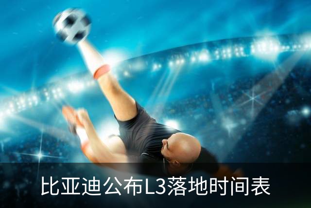 比亚迪公布L3落地时间表