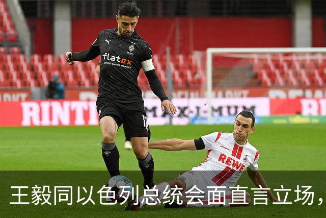 王毅同以色列总统会面直言立场，用上了勒令内塔尼亚胡的语气