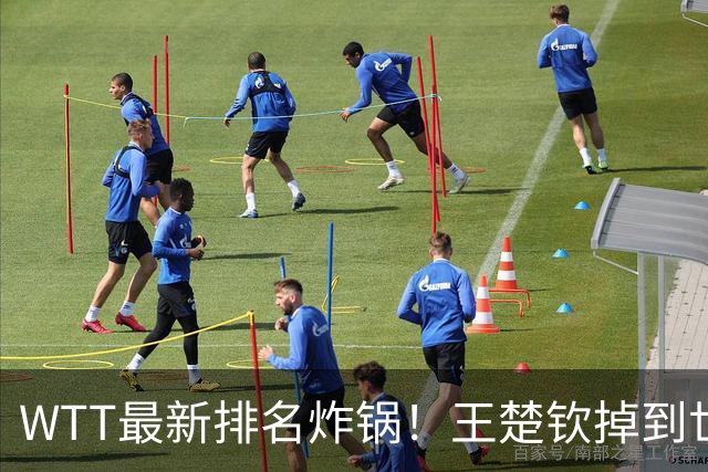 WTT最新排名炸锅！王楚钦掉到世界第五就慌了？樊振东巴黎世界第四，照样二号种子拿冠军，真正的危机藏在这儿